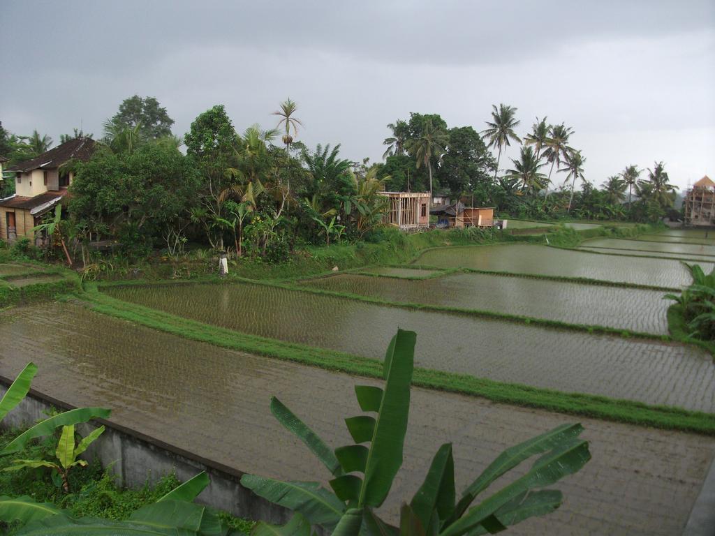 Herberg Suwar